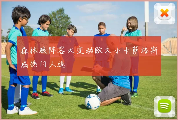 森林狼阵容大变动欧文小卡萨格斯成热门人选