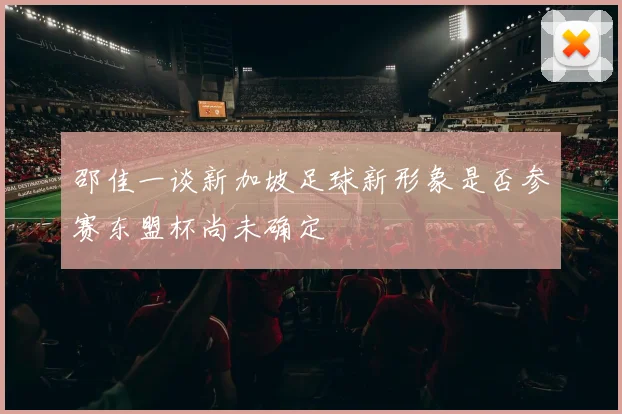 邵佳一谈新加坡足球新形象是否参赛东盟杯尚未确定
